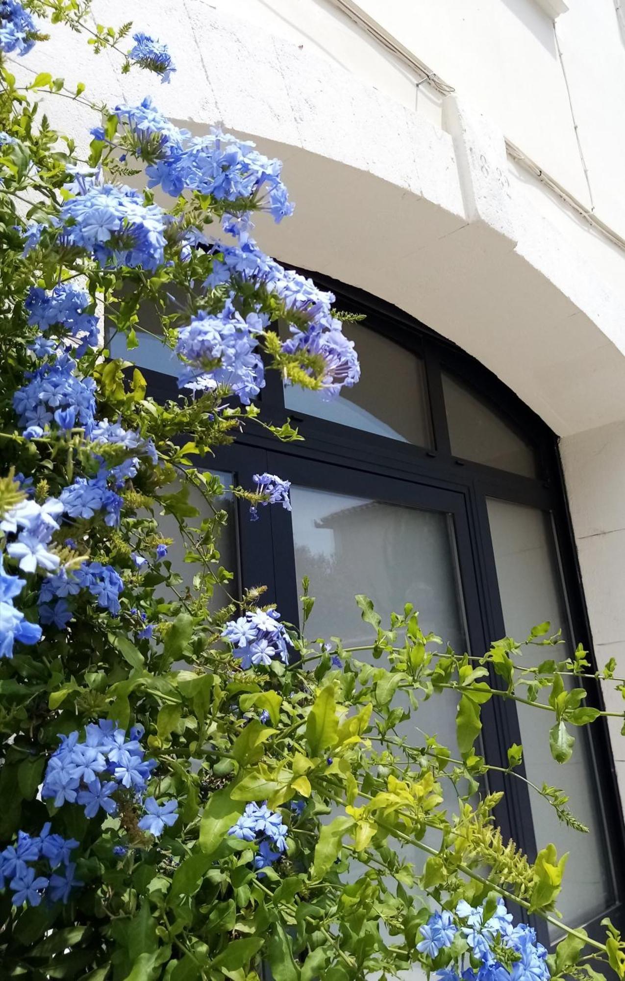 Le Petit Patio Bed & Breakfast Aigues-Mortes Exterior photo